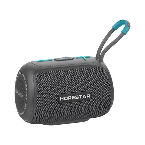 Speaker SATE Hopestar T10 HS-1594 gris
